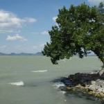 balaton