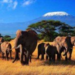 kenya_1_