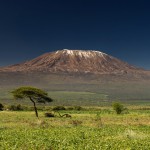 kilim