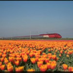 holland3