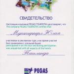 Пегас диплом