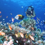 philippines-28485-b
