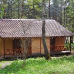 Сердце Алтая